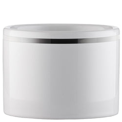 200AP PILS: Soap dish white with platinum rim